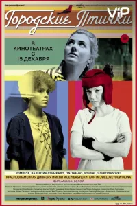 Постер Городские птички