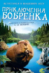 Постер Приключения бобрёнка