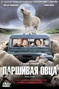 Постер Паршивая овца