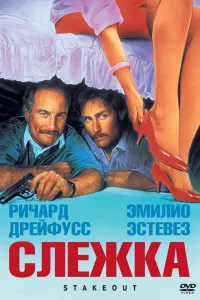 Постер Слежка