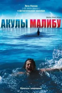 Постер Акулы Малибу