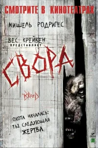 Постер Свора