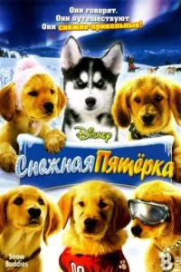 Постер Снежная пятерка