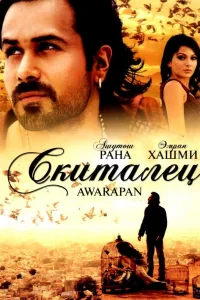 Постер Скиталец