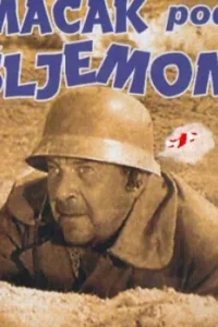 Постер Кот под шлемом