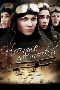 Постер Ночные ласточки