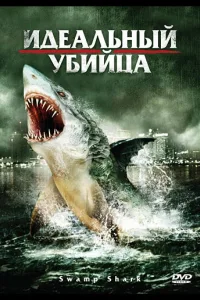 Постер Идеальный убийца