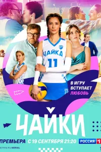 Постер Чайки