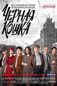 Постер Черная Кошка