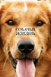 Постер Собачья жизнь