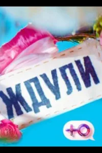Постер Ждули