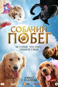 Постер Собачий побег