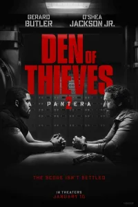 Постер Охота на воров 2: Пантера