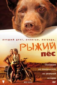 Постер Рыжий пес
