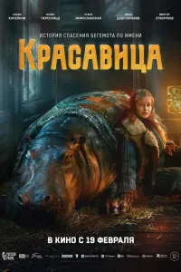 Постер Красавица