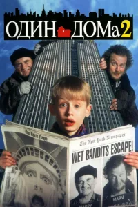 Постер Один дома 2: Затерянный в Нью-Йорке