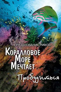 Постер Грёзы Кораллового моря: Пробуждение