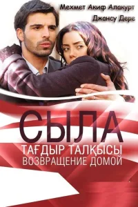 Постер Сыла. Возвращение домой