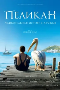Постер Пеликан